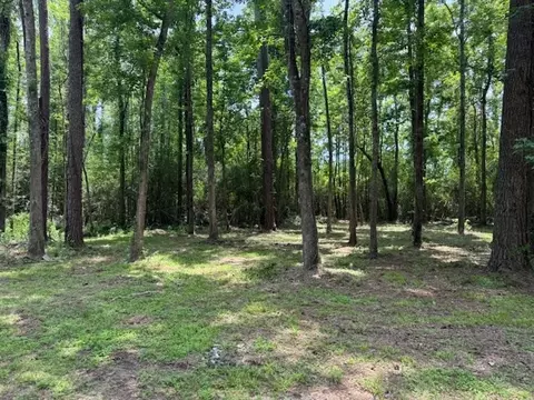 770 Taylor Rd, Kokomo, MS 39643 photo 6