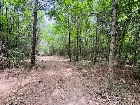 tbd Carters Creek Rd, Tylertown, MS 39667 photo 29