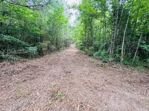 tbd Carters Creek Rd, Tylertown, MS 39667 photo 13