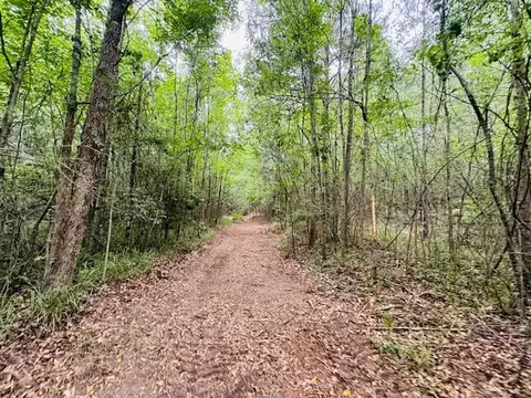 tbd Carters Creek Rd, Tylertown, MS 39667 photo 14