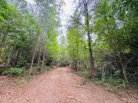tbd Carters Creek Rd, Tylertown, MS 39667 photo 4