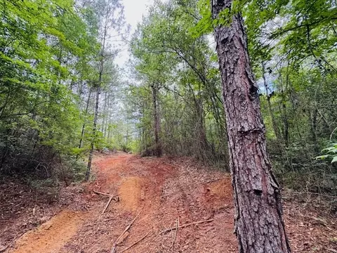 tbd Carters Creek Rd, Tylertown, MS 39667 photo 5