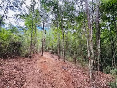 tbd Carters Creek Rd, Tylertown, MS 39667 photo 6