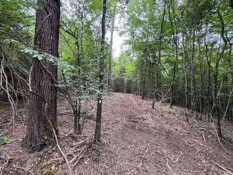 tbd Carters Creek Rd, Tylertown, MS 39667 photo 22