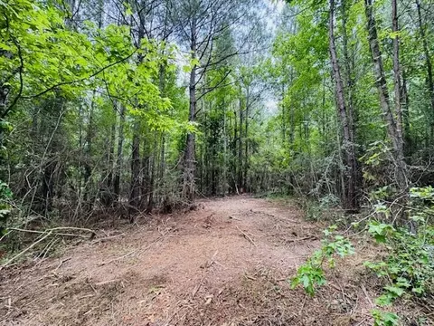 tbd Carters Creek Rd, Tylertown, MS 39667 photo 26