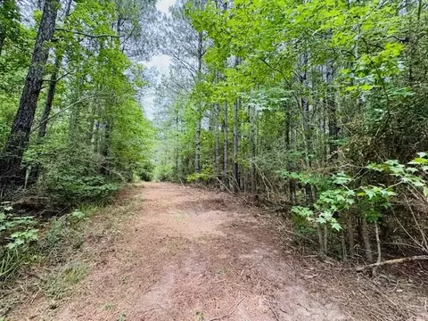 tbd Carters Creek Rd, Tylertown, MS 39667 photo 25