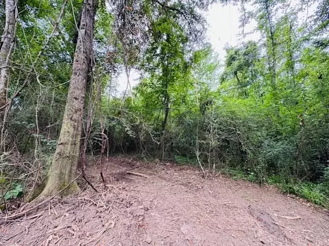 tbd Carters Creek Rd, Tylertown, MS 39667 photo 18