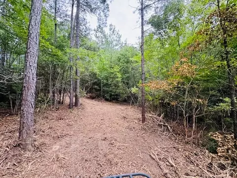 tbd Carters Creek Rd, Tylertown, MS 39667 photo 7