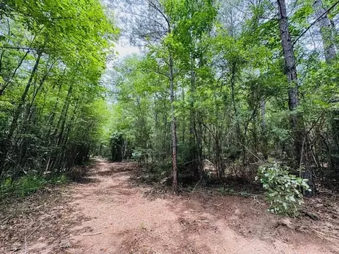 tbd Carters Creek Rd, Tylertown, MS 39667 photo 31