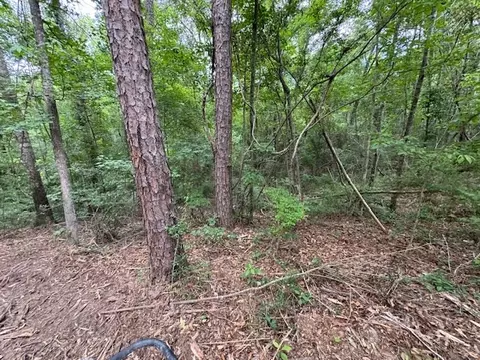 tbd Carters Creek Rd, Tylertown, MS 39667 photo 20