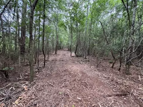 tbd Carters Creek Rd, Tylertown, MS 39667 photo 24