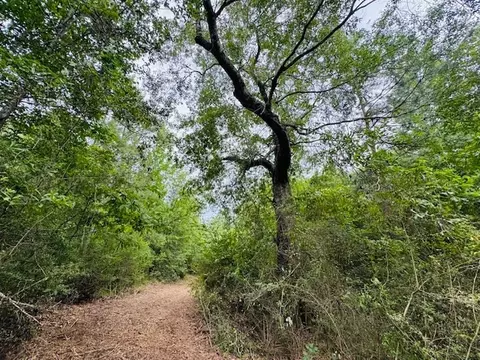 tbd Carters Creek Rd, Tylertown, MS 39667 photo 15