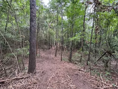 tbd Carters Creek Rd, Tylertown, MS 39667 photo 21