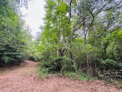 tbd Carters Creek Rd, Tylertown, MS 39667 photo 16
