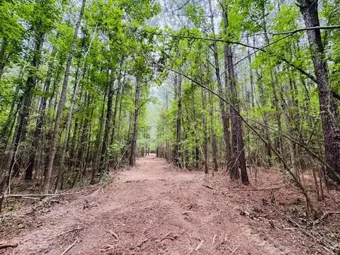 tbd Carters Creek Rd, Tylertown, MS 39667 photo 27