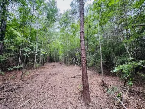 tbd Carters Creek Rd, Tylertown, MS 39667 photo 10