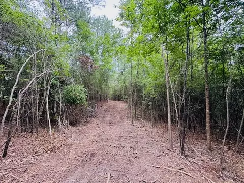 tbd Carters Creek Rd, Tylertown, MS 39667 photo 12