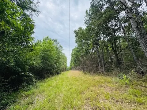 tbd Carters Creek Rd, Tylertown, MS 39667 photo 2