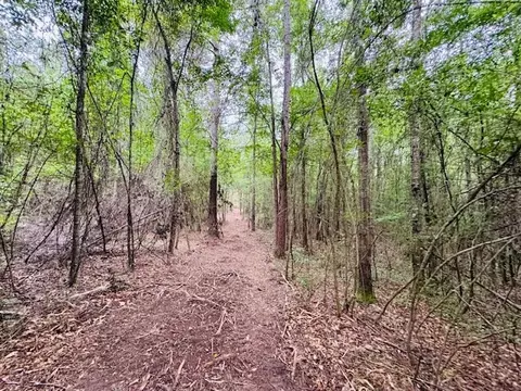 tbd Carters Creek Rd, Tylertown, MS 39667 photo 17