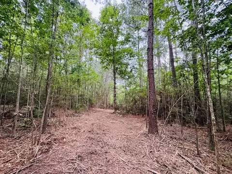 tbd Carters Creek Rd, Tylertown, MS 39667 photo 11