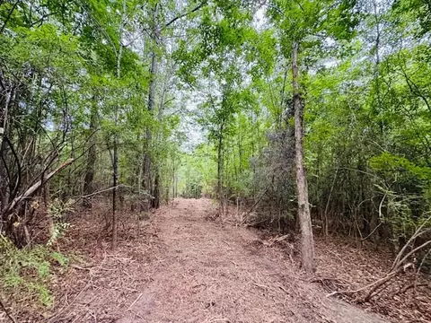 tbd Carters Creek Rd, Tylertown, MS 39667 photo 8