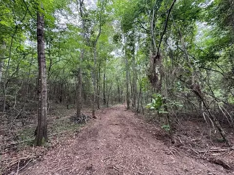 tbd Carters Creek Rd, Tylertown, MS 39667 photo 23