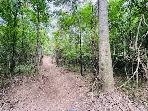 tbd Carters Creek Rd, Tylertown, MS 39667 photo 9