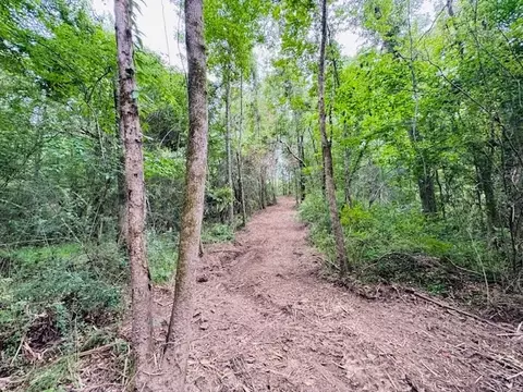tbd Carters Creek Rd, Tylertown, MS 39667 photo 19