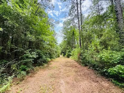 tbd Carters Creek Rd, Tylertown, MS 39667 photo 32