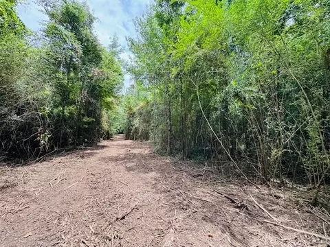 tbd Carters Creek Rd, Tylertown, MS 39667 photo 30