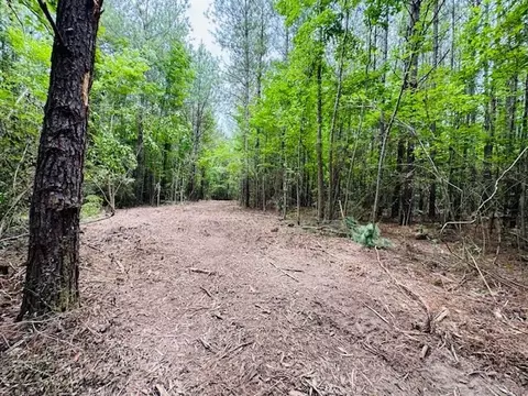 tbd Carters Creek Rd, Tylertown, MS 39667 photo 28