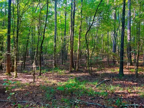 3050 James Dr, Wesson, MS 39191 photo 8