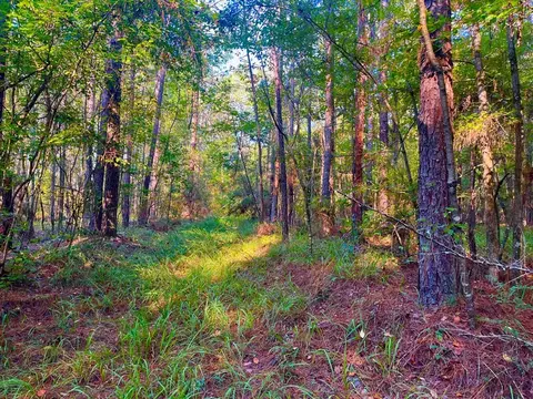 3050 James Dr, Wesson, MS 39191 photo 2