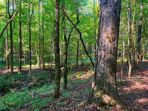 3050 James Dr, Wesson, MS 39191