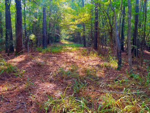 3050 James Dr, Wesson, MS 39191 photo 6