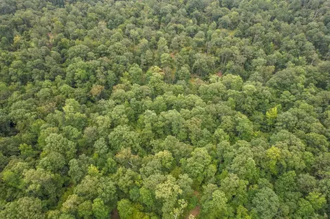 tbd Paul Gallows Rd, Utica, MS 39175 photo 12