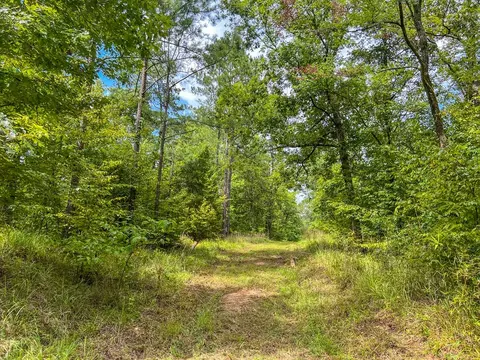 tbd Paul Gallows Rd, Utica, MS 39175 photo 42