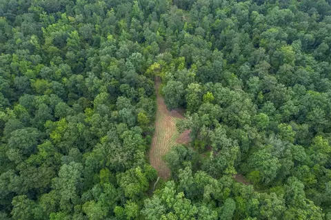 tbd Paul Gallows Rd, Utica, MS 39175 photo 6