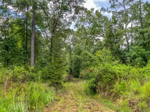 tbd Paul Gallows Rd, Utica, MS 39175 photo 16