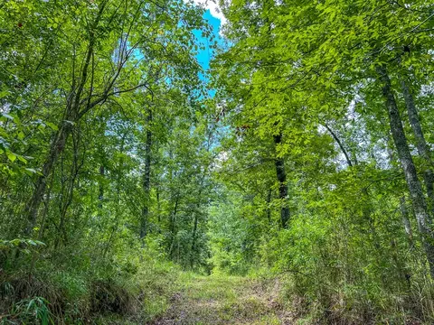 tbd Paul Gallows Rd, Utica, MS 39175 photo 40