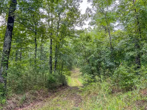tbd Paul Gallows Rd, Utica, MS 39175 photo 34