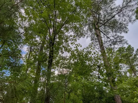 tbd Paul Gallows Rd, Utica, MS 39175 photo 25