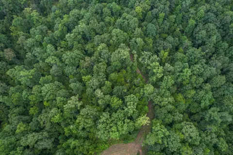 tbd Paul Gallows Rd, Utica, MS 39175 photo 4