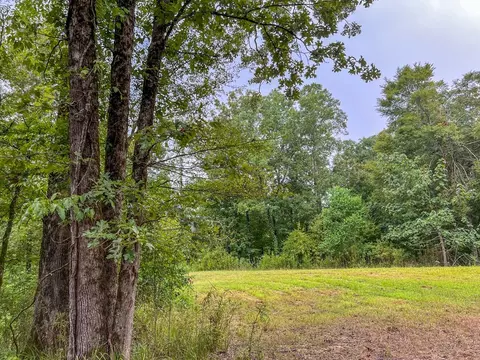 tbd Paul Gallows Rd, Utica, MS 39175 photo 31