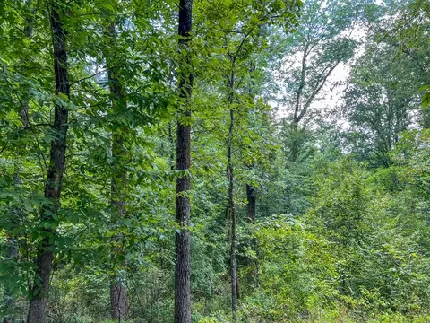 tbd Paul Gallows Rd, Utica, MS 39175 photo 18