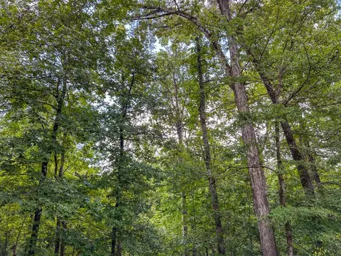 tbd Paul Gallows Rd, Utica, MS 39175 photo 30