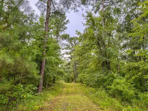 tbd Paul Gallows Rd, Utica, MS 39175 photo 24