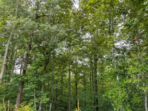 tbd Paul Gallows Rd, Utica, MS 39175 photo 39