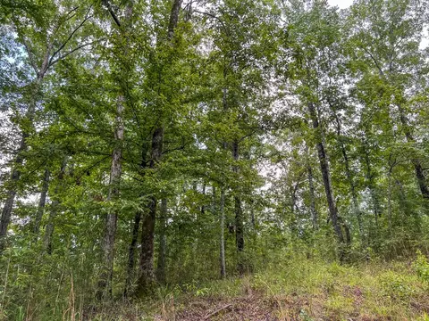 tbd Paul Gallows Rd, Utica, MS 39175 photo 35