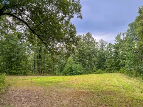 tbd Paul Gallows Rd, Utica, MS 39175 photo 28
